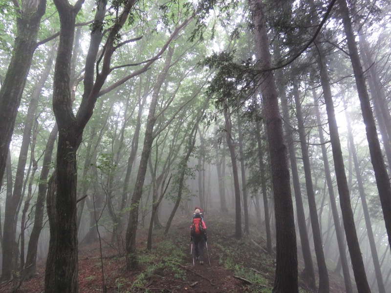 三頭山〜笹尾根