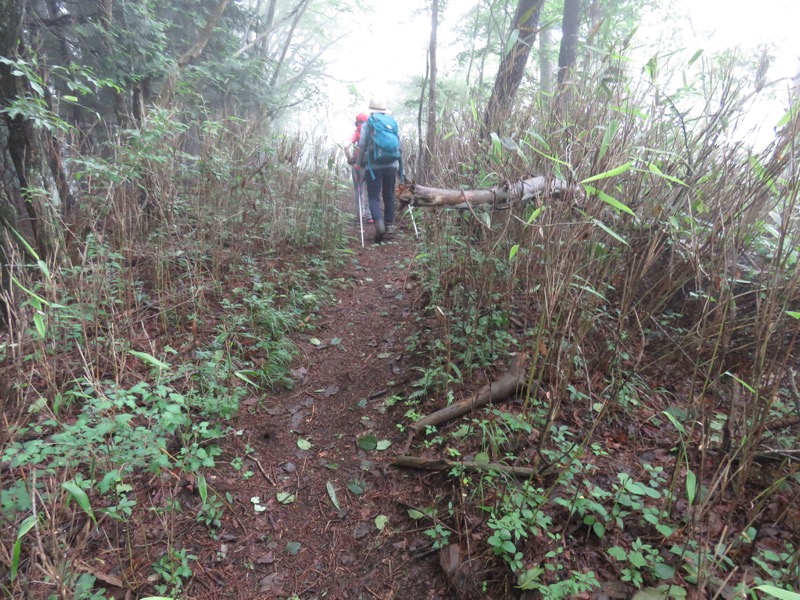 三頭山〜笹尾根