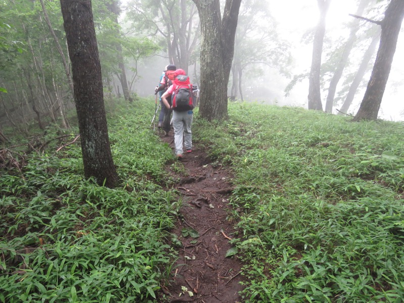 三頭山〜笹尾根