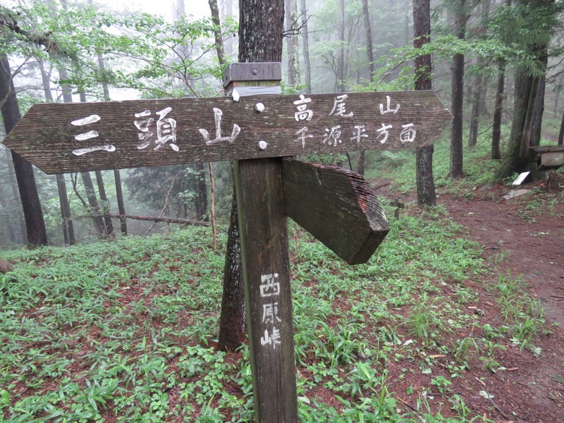 三頭山〜笹尾根