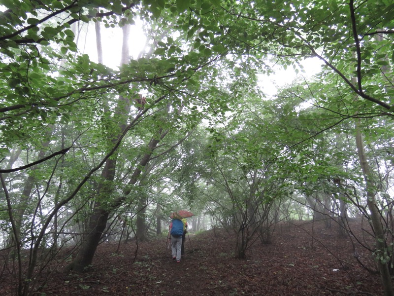 三頭山〜笹尾根