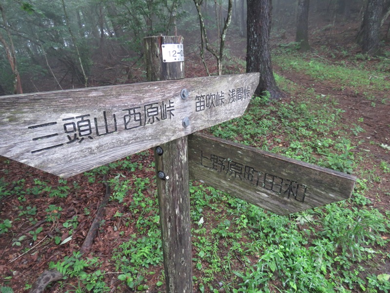 三頭山〜笹尾根