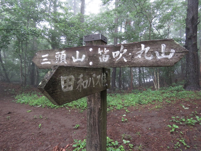 三頭山〜笹尾根