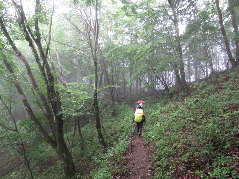 三頭山〜笹尾根