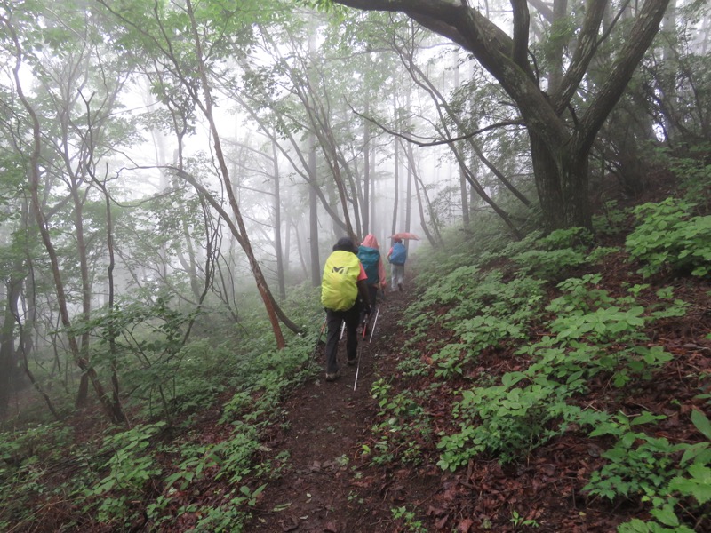 三頭山〜笹尾根