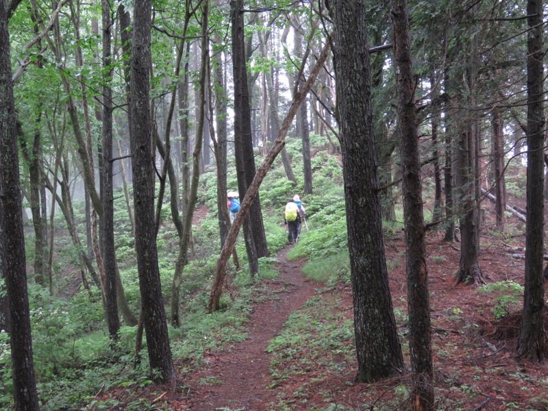 三頭山〜笹尾根