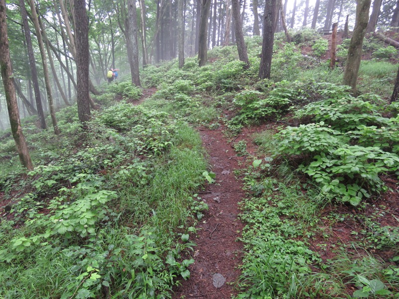 三頭山〜笹尾根