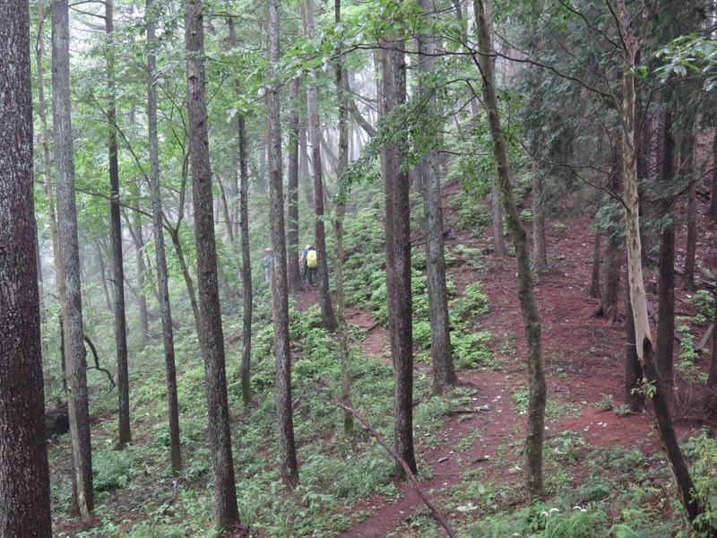 三頭山〜笹尾根