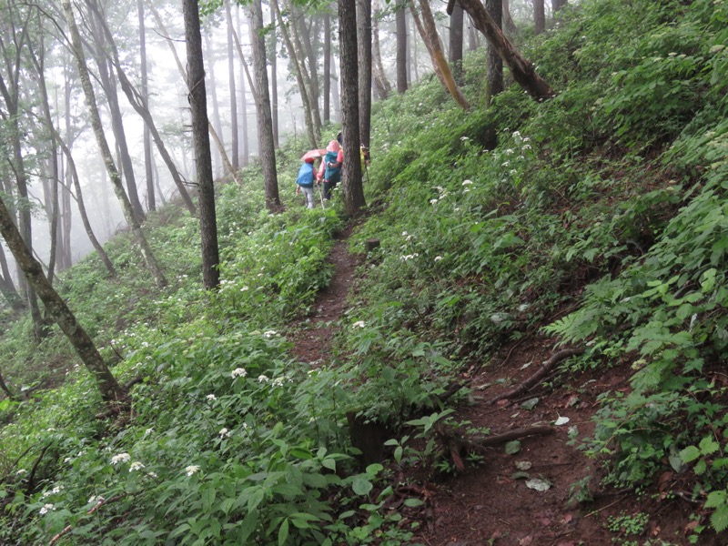 三頭山〜笹尾根