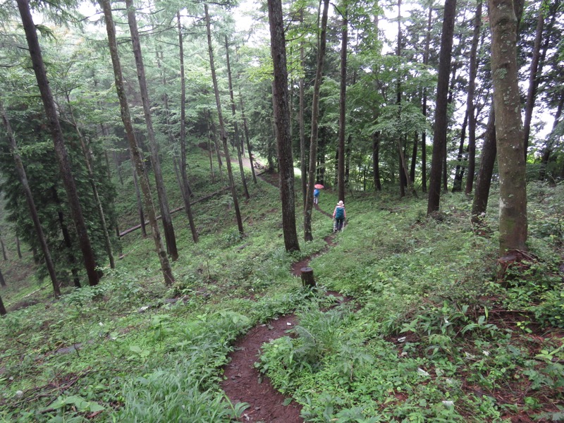 三頭山〜笹尾根