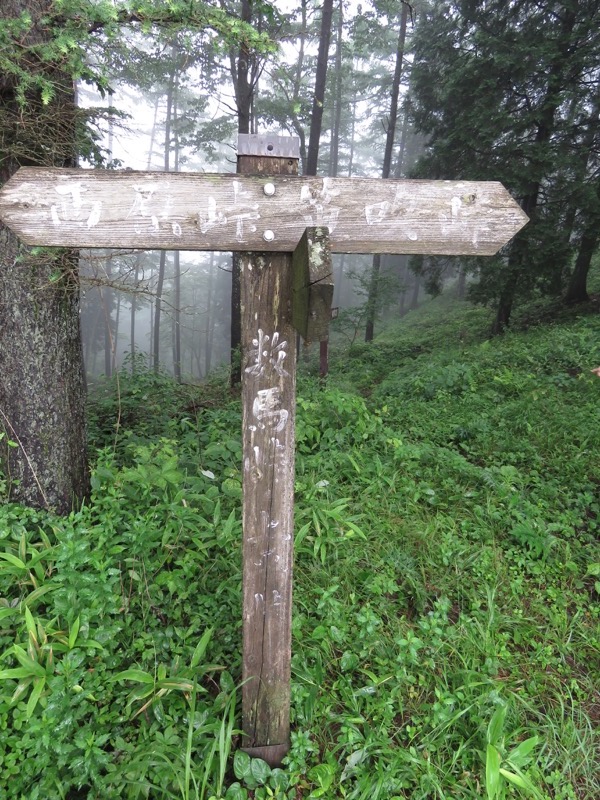 三頭山〜笹尾根