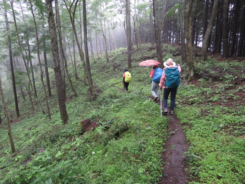 三頭山〜笹尾根