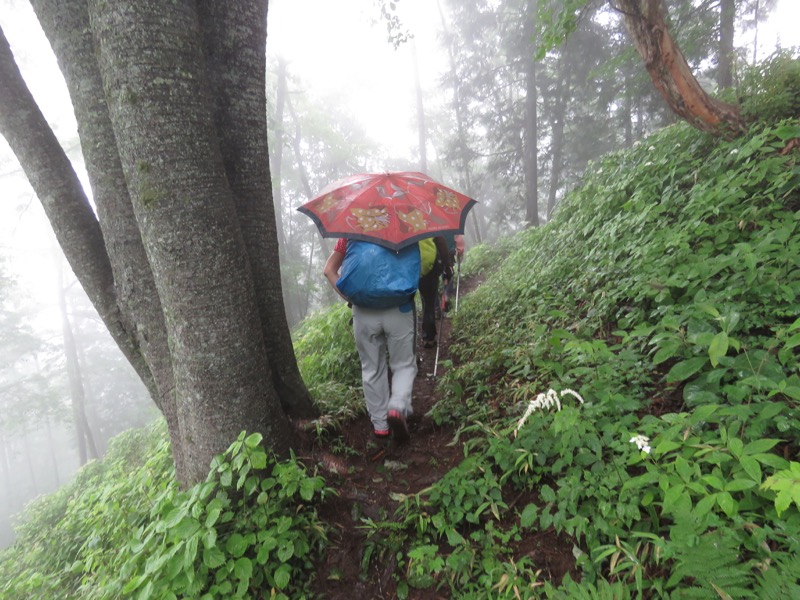 三頭山〜笹尾根