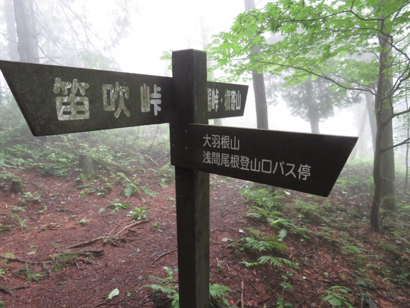 三頭山〜笹尾根