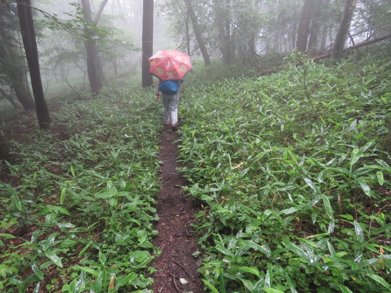 三頭山〜笹尾根