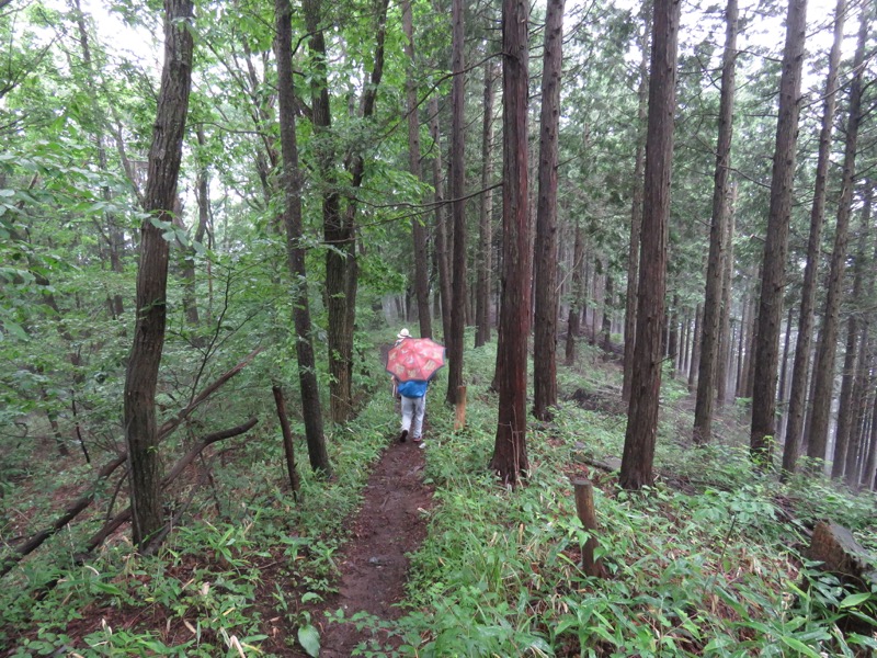 三頭山〜笹尾根