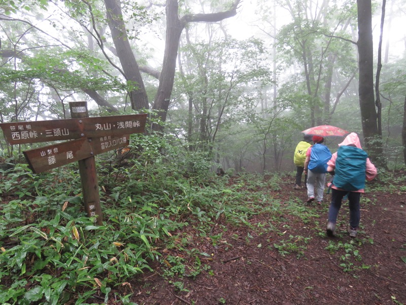 三頭山〜笹尾根