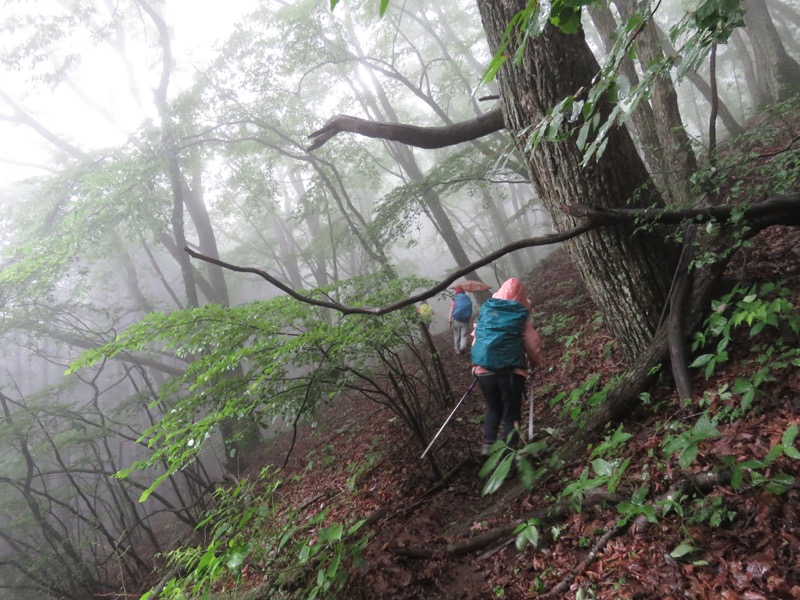 三頭山〜笹尾根