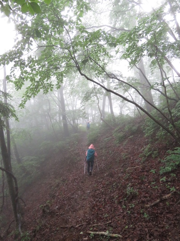 三頭山〜笹尾根