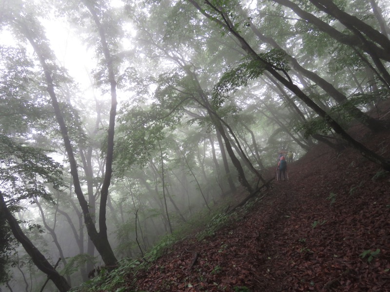 三頭山〜笹尾根