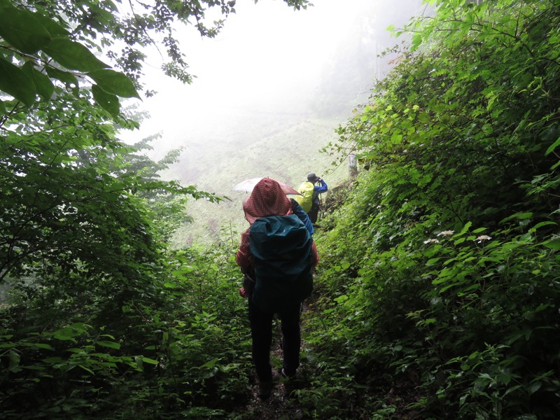 三頭山〜笹尾根