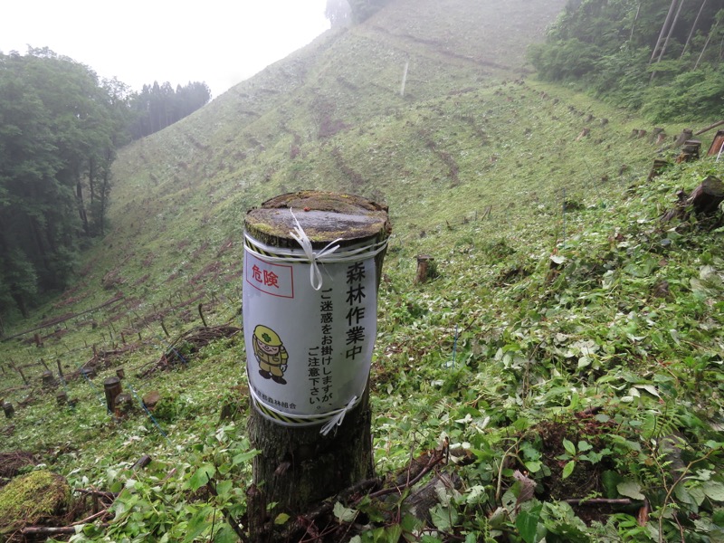 三頭山〜笹尾根