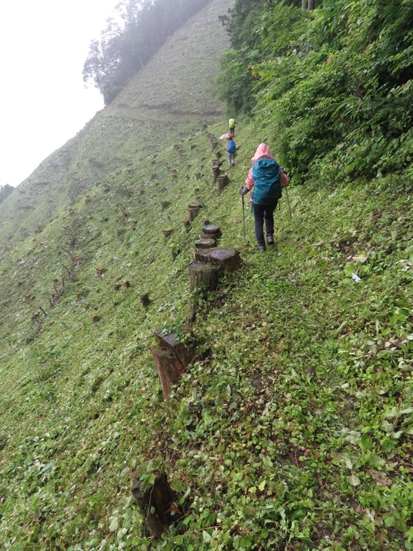 三頭山〜笹尾根