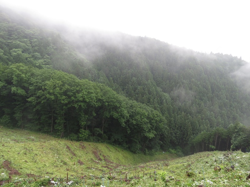 三頭山〜笹尾根