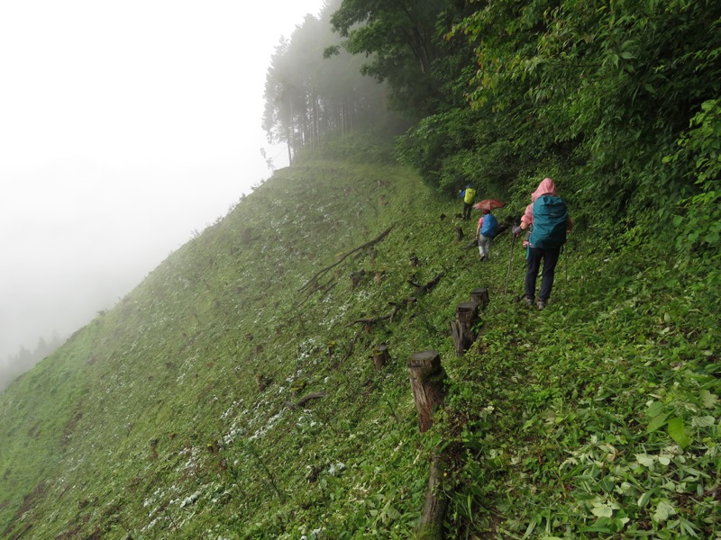 三頭山〜笹尾根