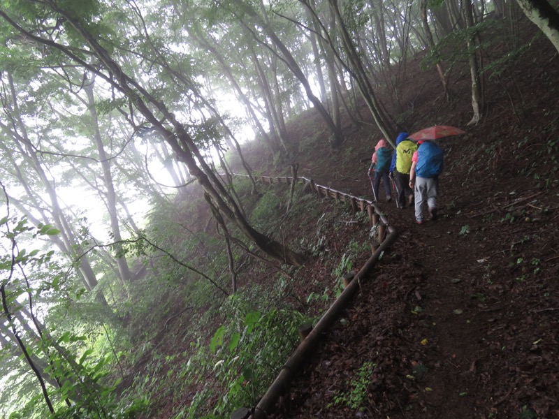 三頭山〜笹尾根