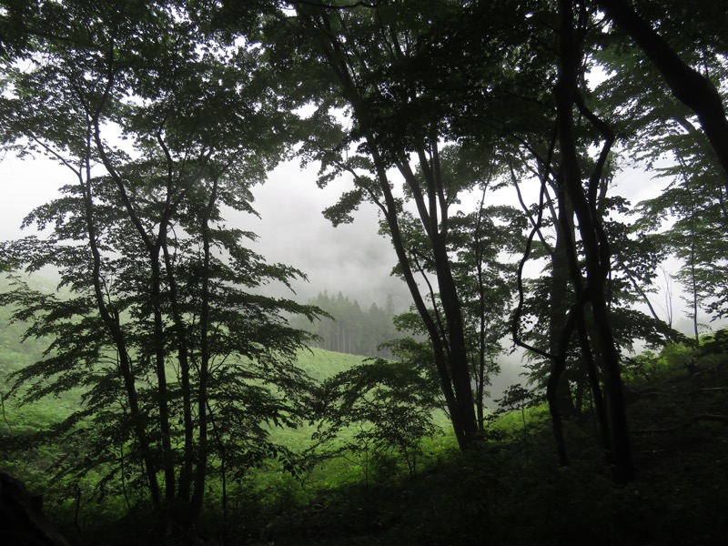 三頭山〜笹尾根