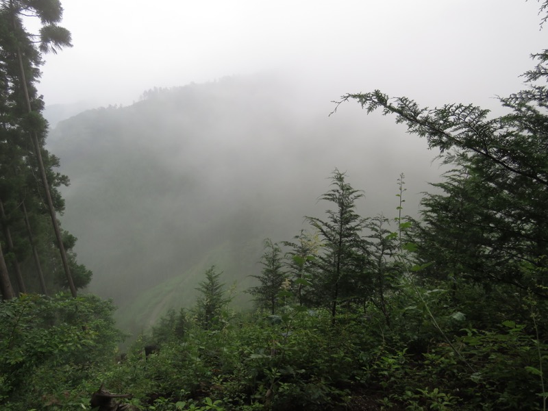 三頭山〜笹尾根