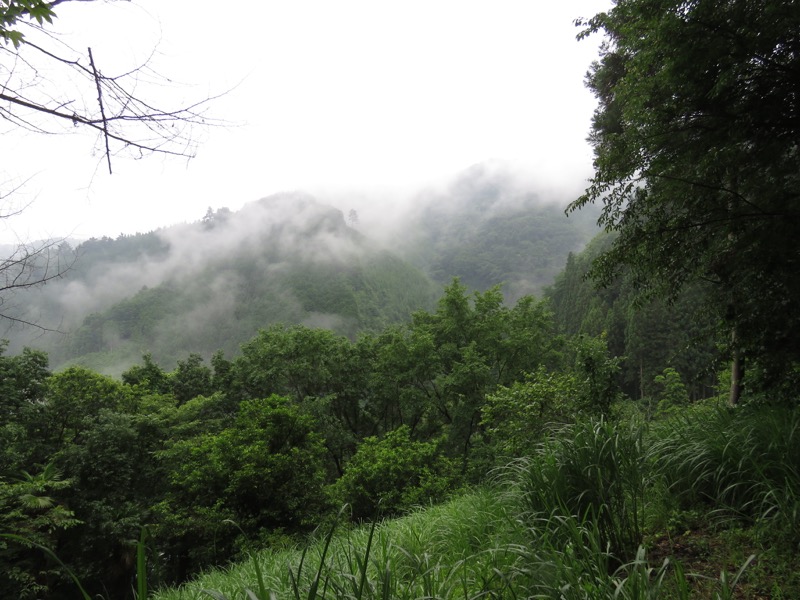 三頭山〜笹尾根