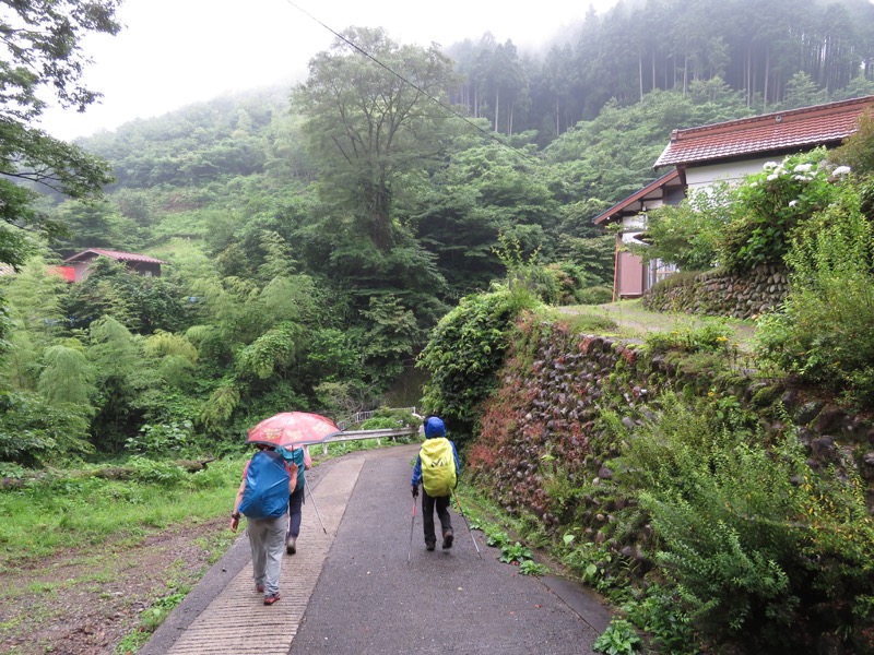 三頭山〜笹尾根