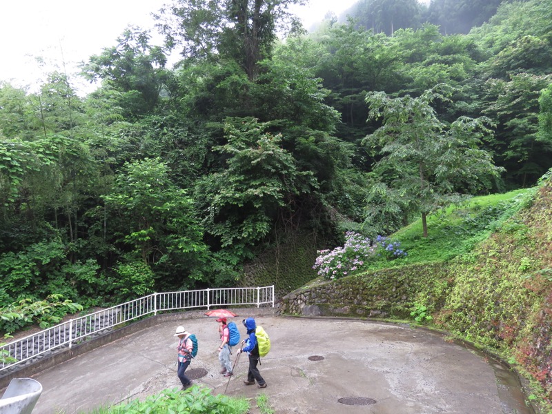 三頭山〜笹尾根