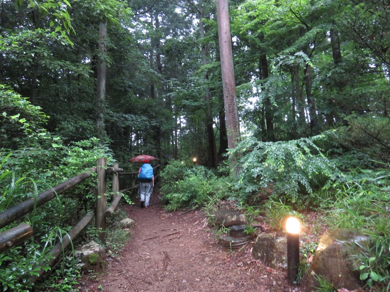 三頭山〜笹尾根