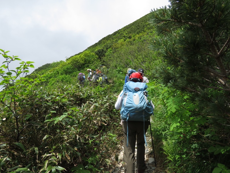 大日岳登山