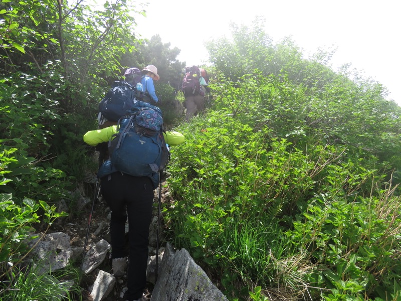 大日岳登山