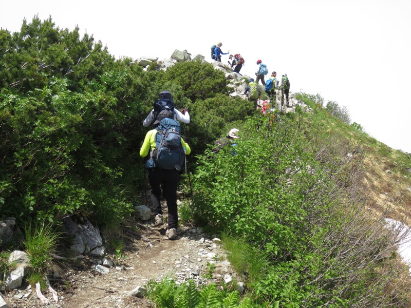 大日岳登山