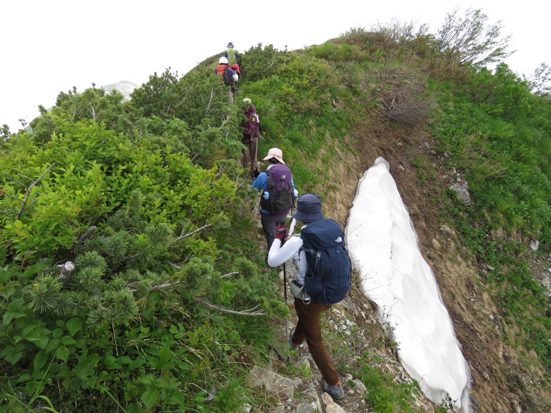 大日岳登山