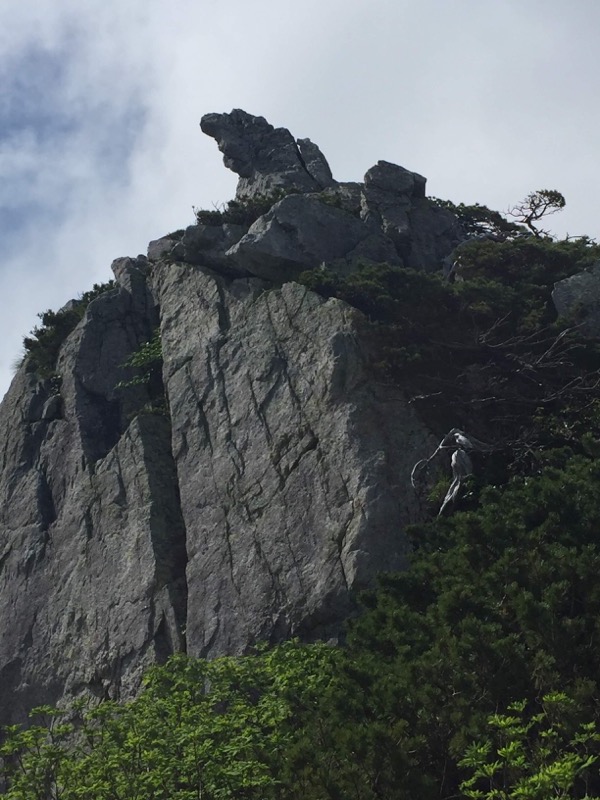 大日岳登山