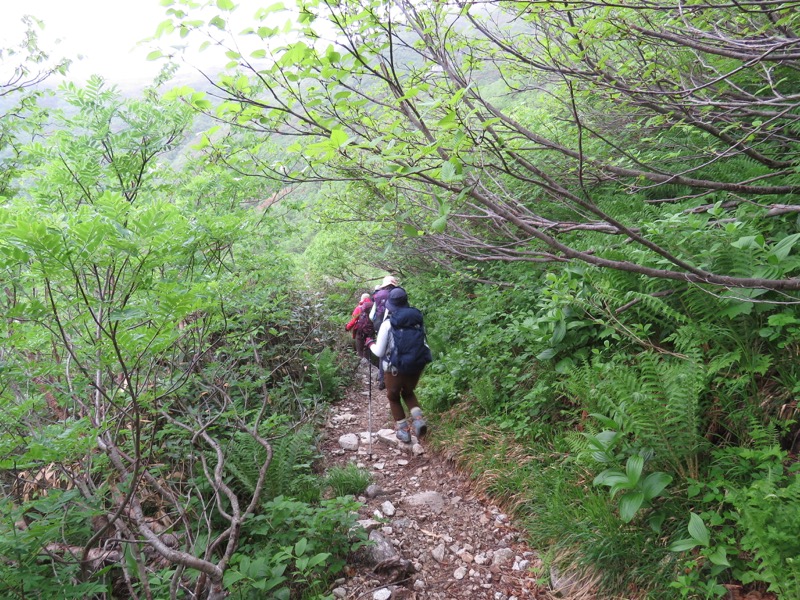 大日岳登山