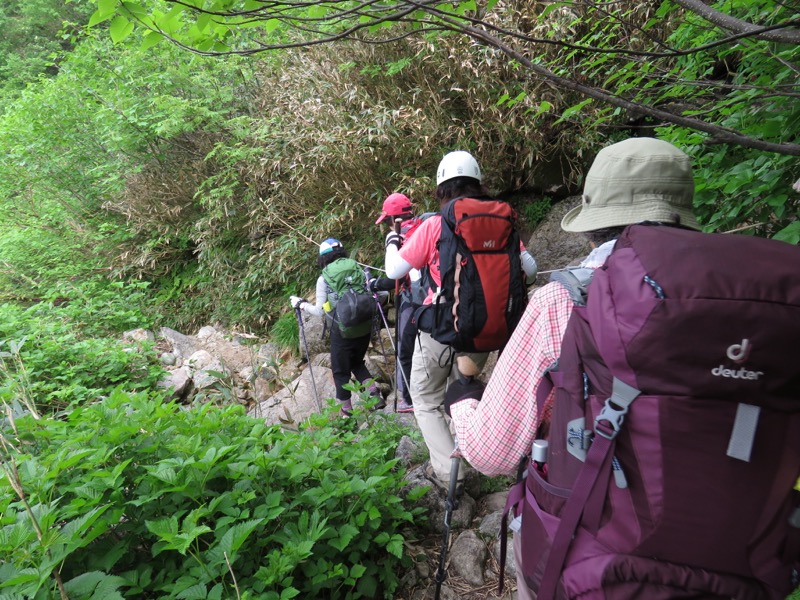 大日岳登山