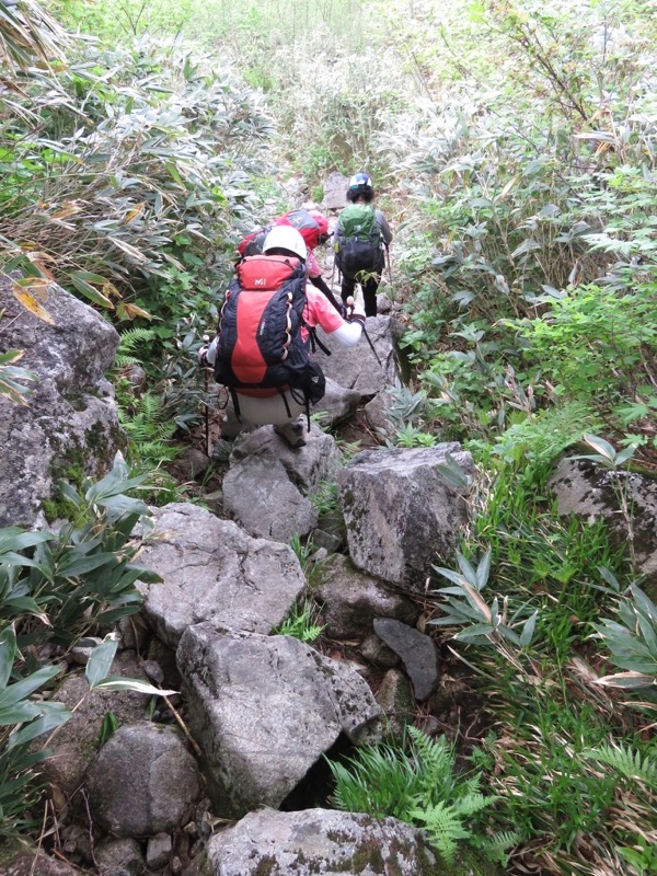 大日岳登山