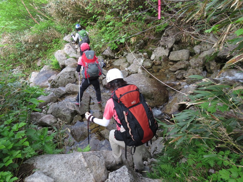 大日岳登山