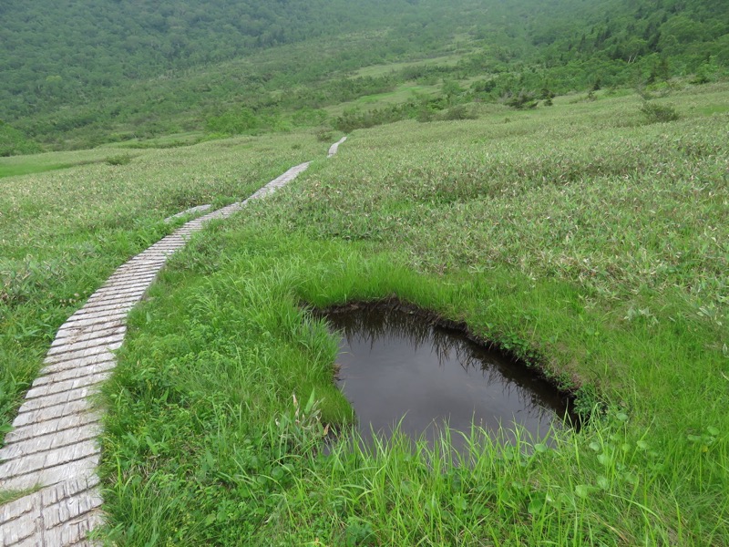 大日岳登山