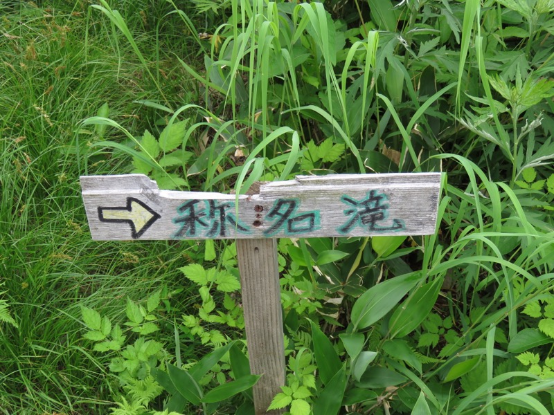 大日岳登山