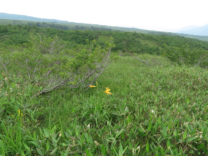 大日岳登山