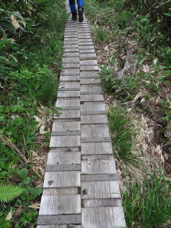 大日岳登山