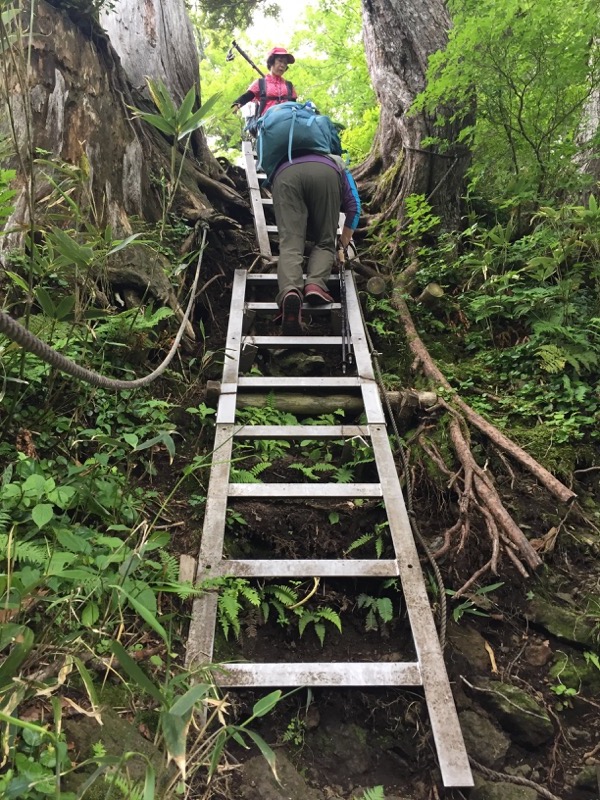 大日岳登山